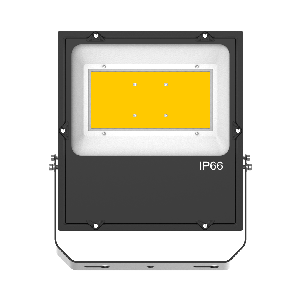 LED Flood LIGHT-COB-100W